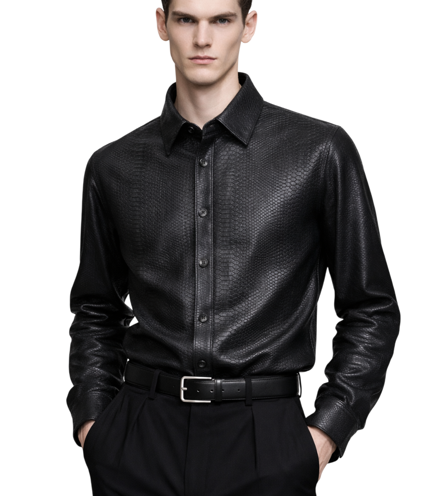 DOME — Snake Silhouette